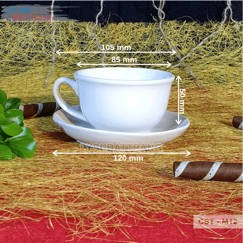 ly sứ trắng Bát Tràng